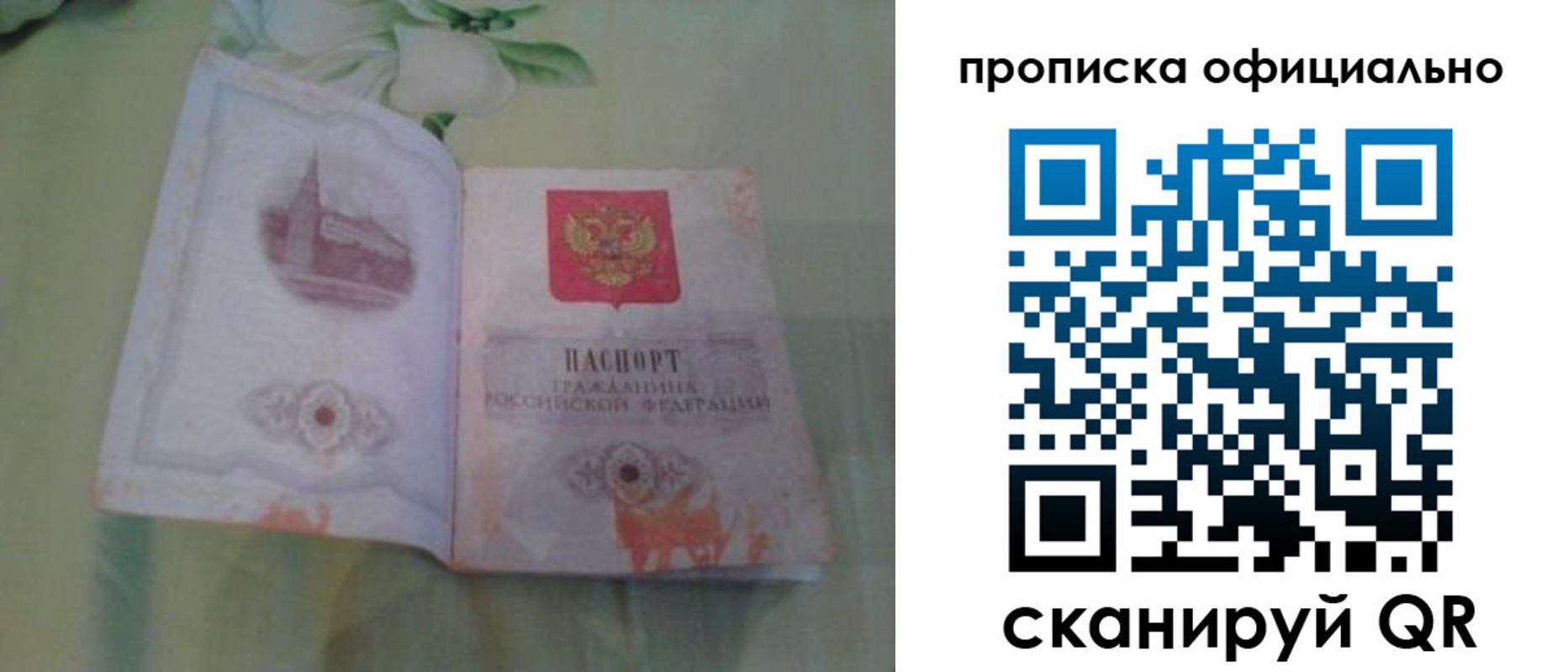 где прописаться в Апатитах